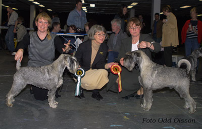 Gunilla and Tallulah and Boel and Dutchman together with the judge  Annmarie Maeland , Sweden.