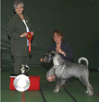 "Ajax" together with handler Boel and judge Nenne Runsten, Sweden 