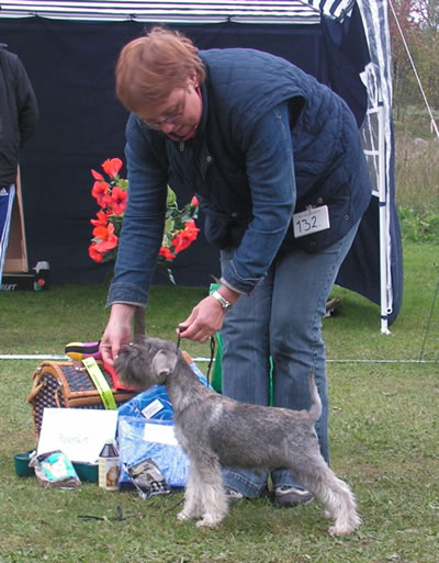 Puppy Best in Show