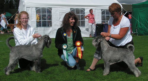 Best of Breed Askersund