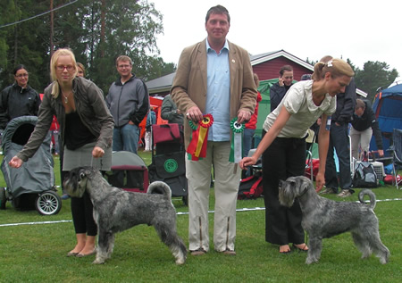 Best of Breed