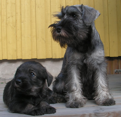 Clura and Eleonor
