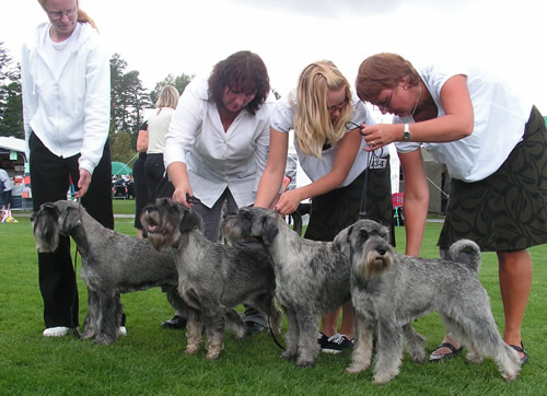 Breeders group