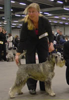 Ch Argenta's Imelda became International Champion!