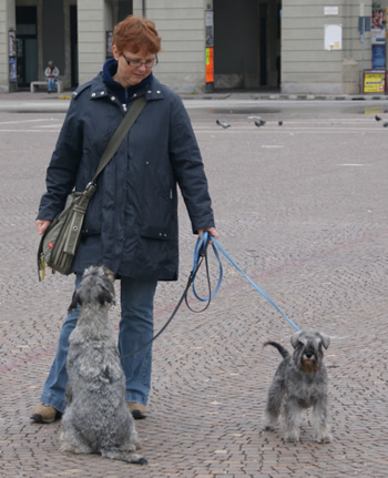 Cuneo