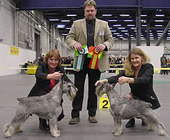Jack and Caper became Swedish Winners 2004!