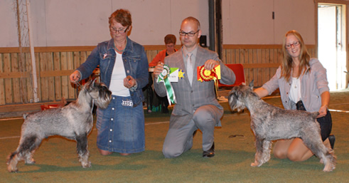 Best of Breed