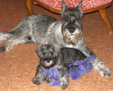 Kolian and Clura