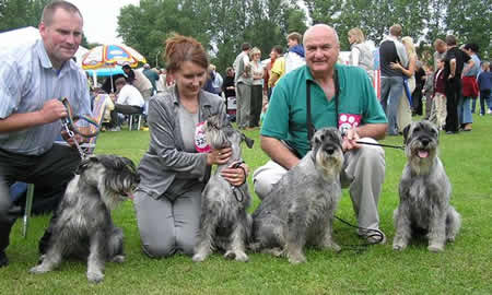 Etos, Fiona, Dante and Loke