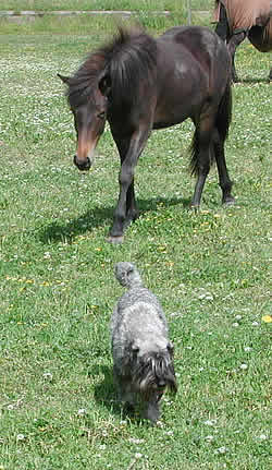 Jezzie and Disa