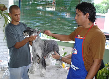 Noa is being prepared for the big show in Havana