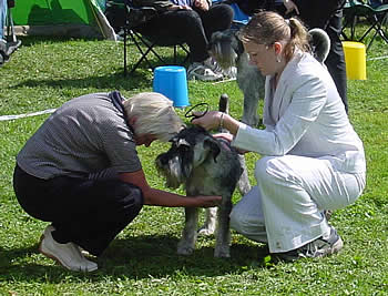 "Fritz" and Gabriella