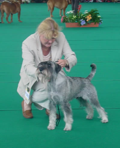 Ch Argenta's Oppenheim on The World Winnershow in Amsterdam 2002