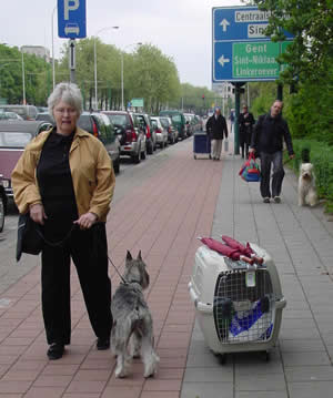 Birgitta and Caper in Antwerpen