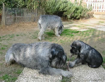 Trilly and Alicia