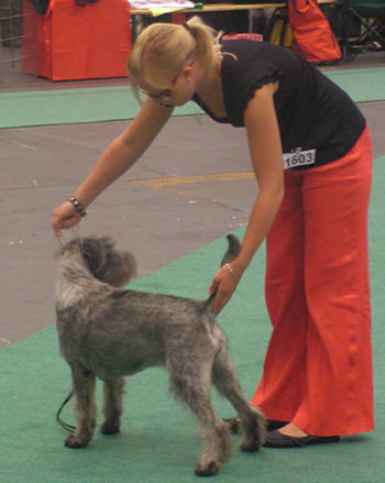 Caitline and Caroline