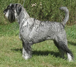 Sally 3 years old