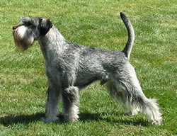 Yackson 2,5 years old