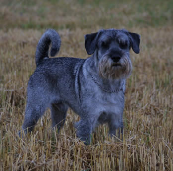 Zack, 6 years old