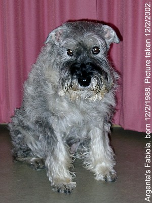 Fabiola 14 years old