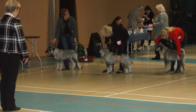 J pojkar Sollentuna1
