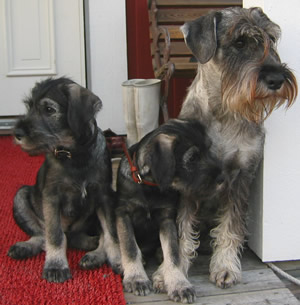 Armstrong and his brother and his mother Phoebe
